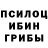 Amphetamine VHQ Inna Alechshenko